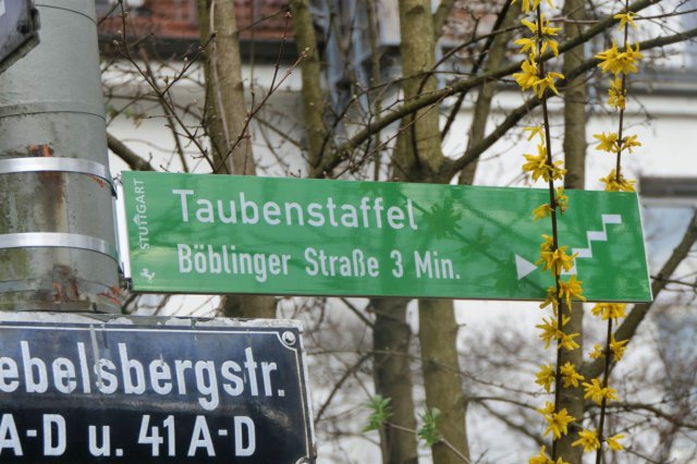 p1060601easy fotok.jpg